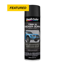 Trim & Rocker Guard spray can