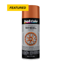 Wheel paint